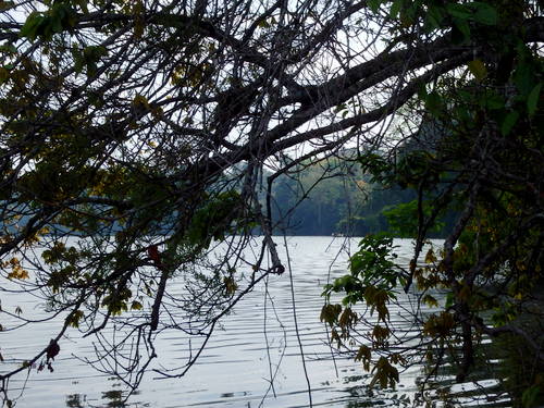 Lago Sandavol (Reserva Nacional Tambopata), Amazon, Peru.